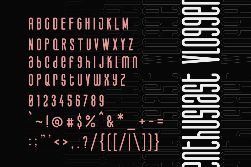 salvegy-elegant-amp-tall-sans-serif