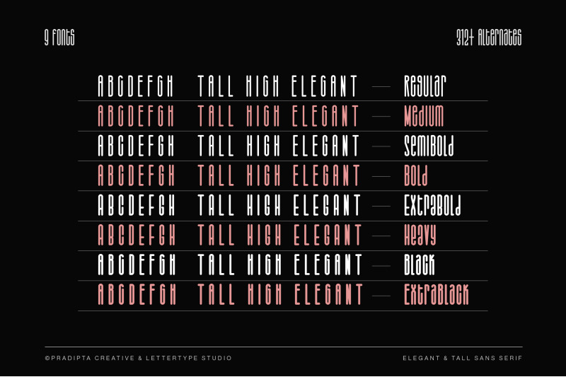 salvegy-elegant-amp-tall-sans-serif
