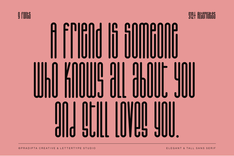 salvegy-elegant-amp-tall-sans-serif