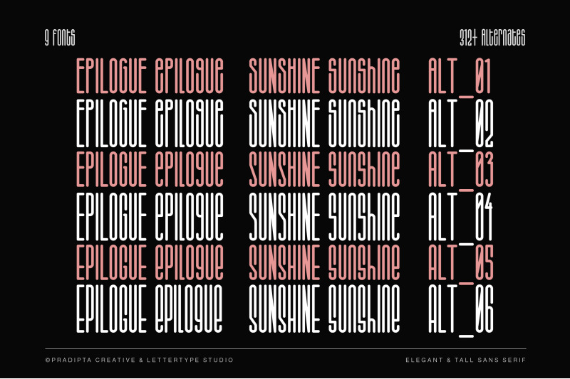 salvegy-elegant-amp-tall-sans-serif