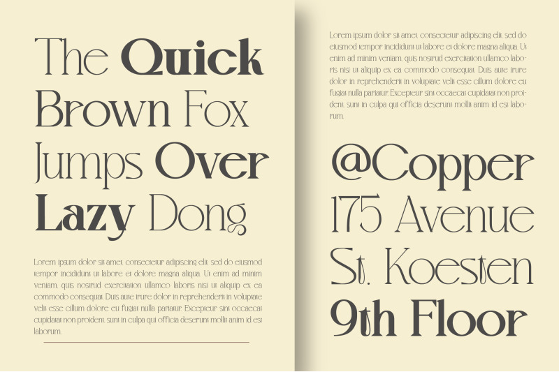 mvoky-modern-amp-elegant-serif-family