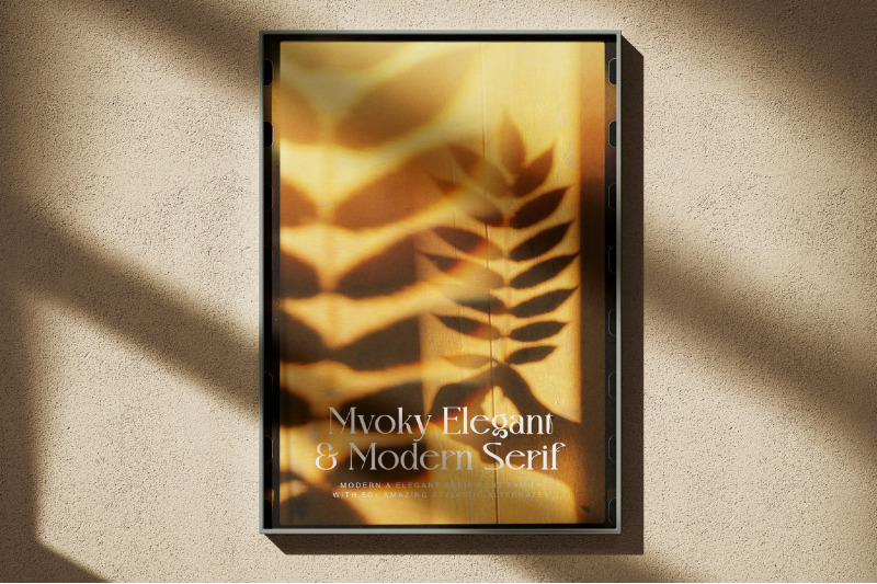 mvoky-modern-amp-elegant-serif-family