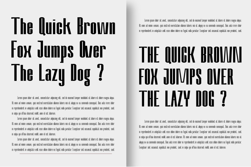 nevary-modern-amp-elegant-sans-serif-family