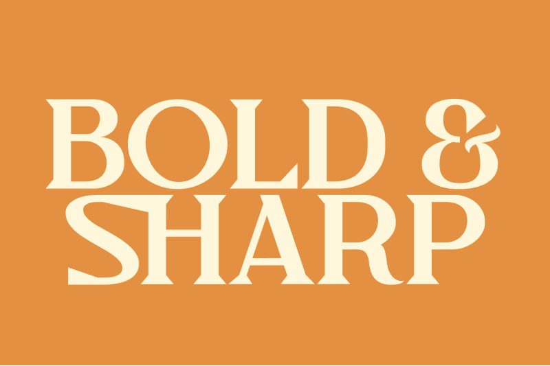 slimtwo-vintage-bold-sharp-amp-elegant-serif