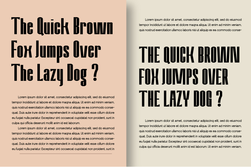 amvergo-modern-amp-elegant-sans-serif-family