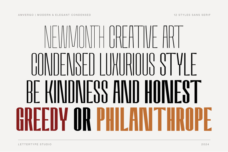 amvergo-modern-amp-elegant-sans-serif-family