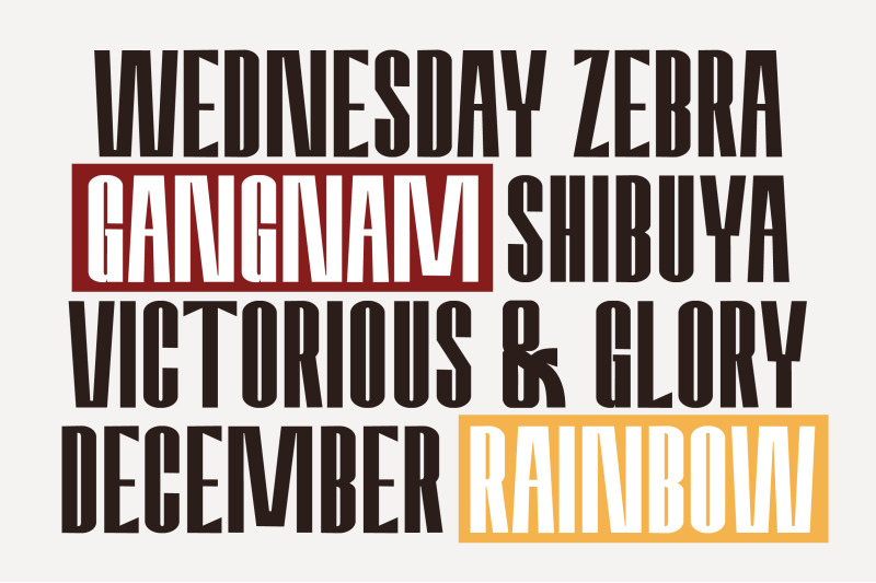amvergo-modern-amp-elegant-sans-serif-family