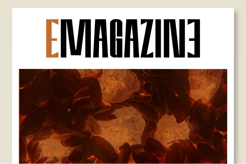 amvergo-modern-amp-elegant-sans-serif-family