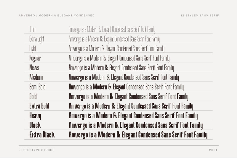 amvergo-modern-amp-elegant-sans-serif-family
