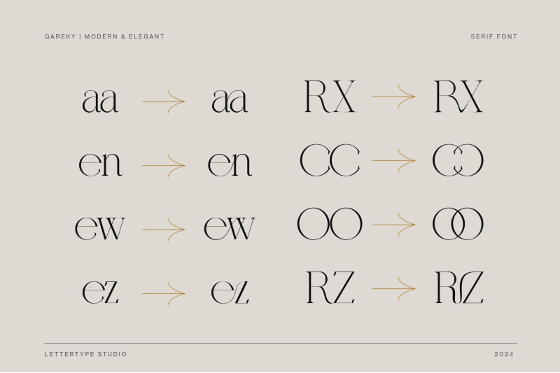 qareky-a-modern-amp-elegant-serif