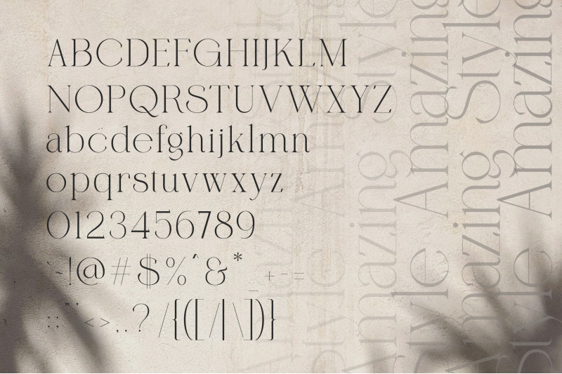 qareky-a-modern-amp-elegant-serif