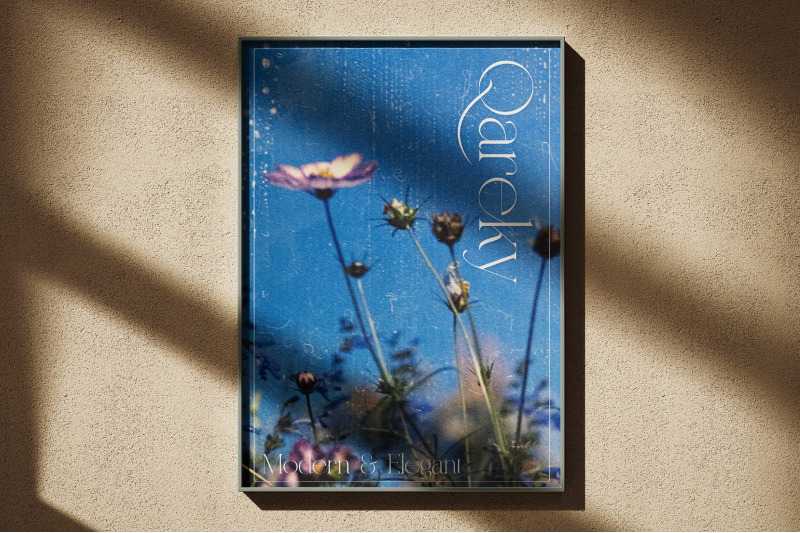 qareky-a-modern-amp-elegant-serif