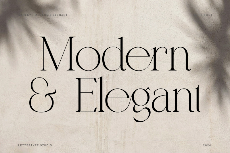 qareky-a-modern-amp-elegant-serif