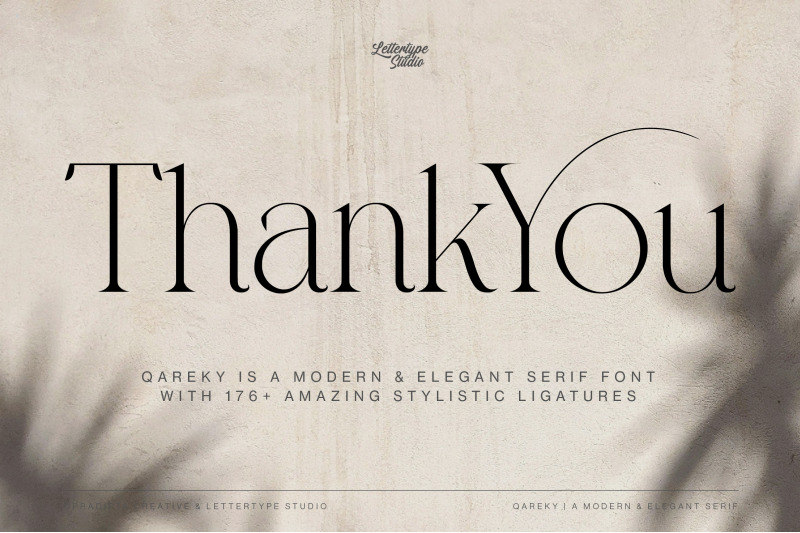 qareky-a-modern-amp-elegant-serif