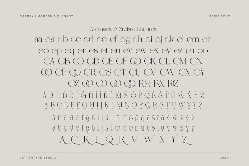qareky-a-modern-amp-elegant-serif