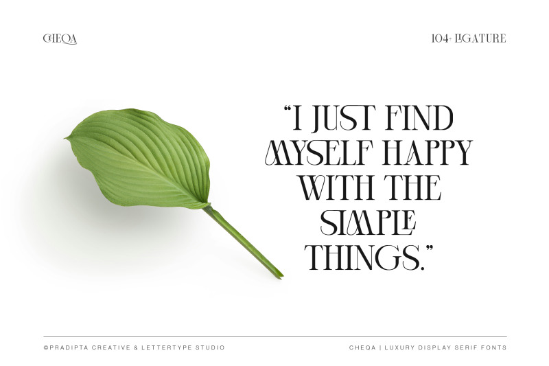 cheqa-a-luxury-amp-elegant-serif