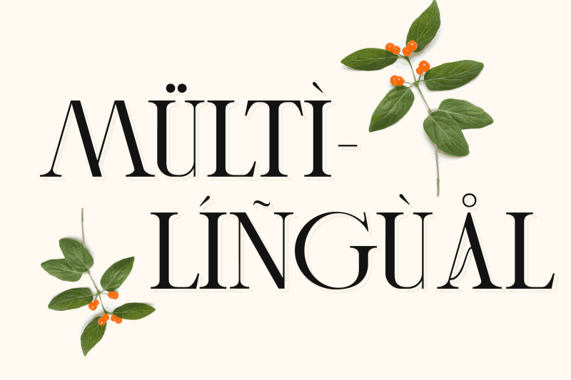 cheqa-a-luxury-amp-elegant-serif