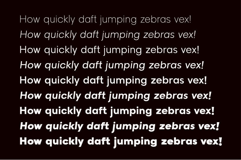 raela-pro-a-geometric-sans-serif-family