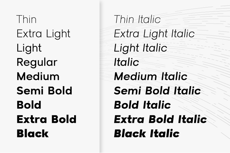 raela-pro-a-geometric-sans-serif-family