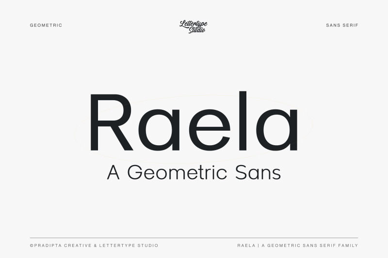 raela-pro-a-geometric-sans-serif-family