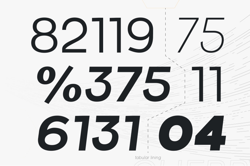 raela-pro-a-geometric-sans-serif-family