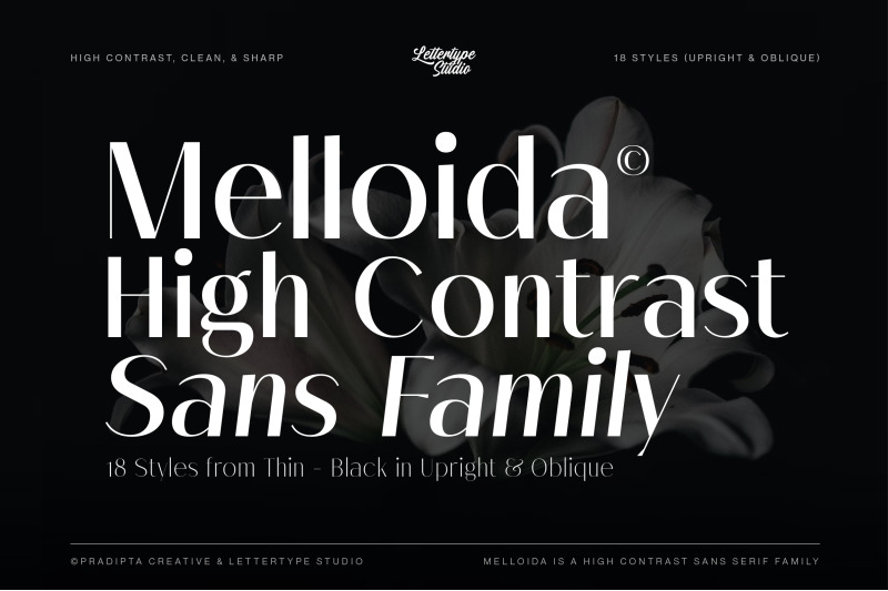 melloida-high-contrast-sans-serif-family