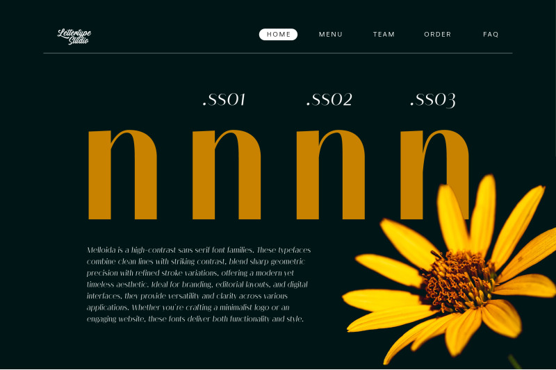 melloida-high-contrast-sans-serif-family