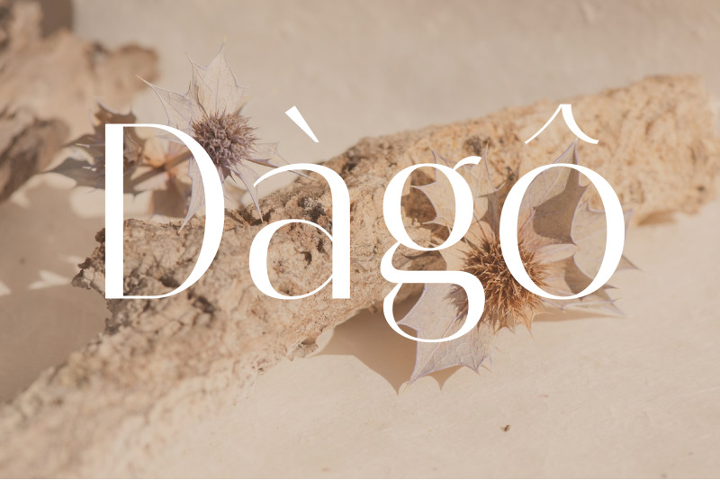 melloida-high-contrast-sans-serif-family