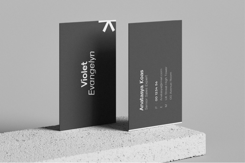 lenia-sans-a-modern-geometric-sans-family