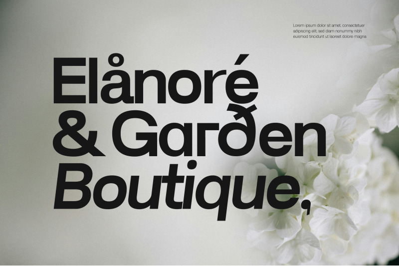 lenia-sans-a-modern-geometric-sans-family