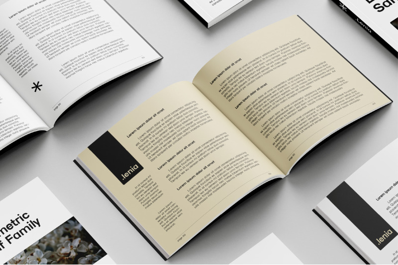 lenia-sans-a-modern-geometric-sans-family