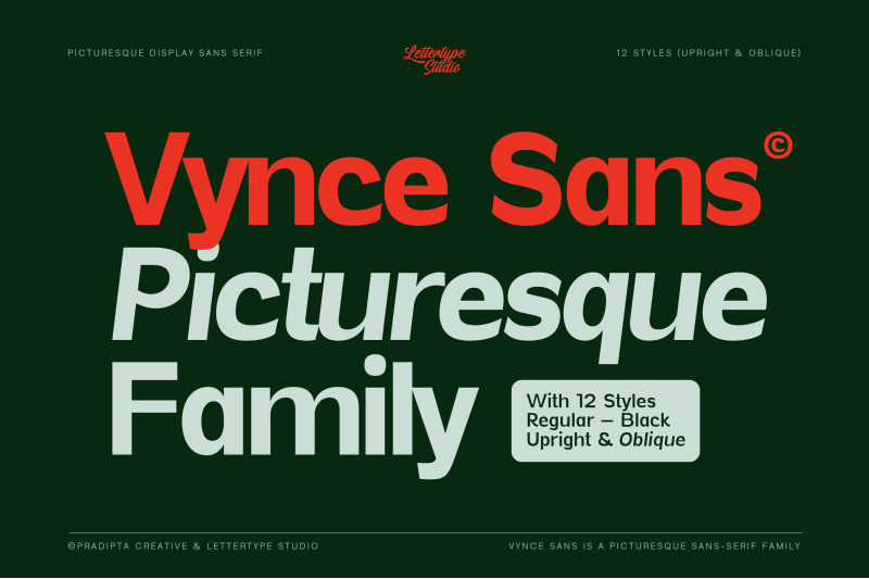 vynce-sans-a-unique-picturesque-display-family