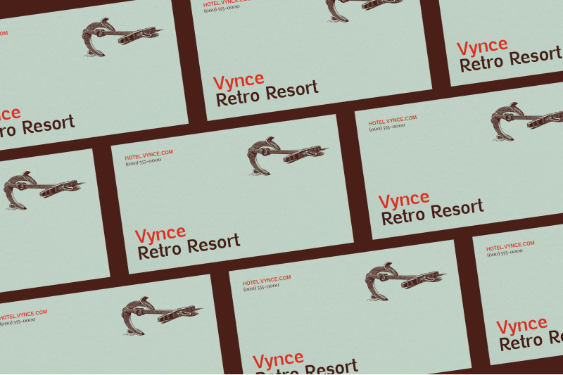 vynce-sans-a-unique-picturesque-display-family