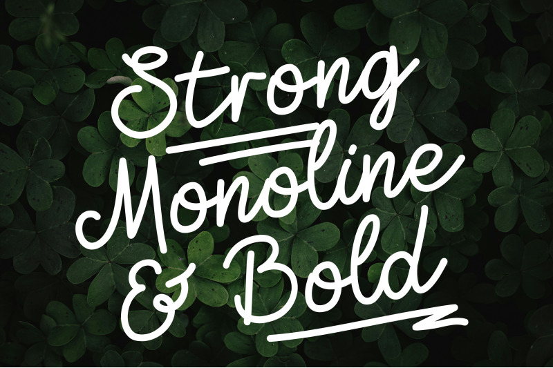 zolfiq-monoline-smooth-amp-cool-script