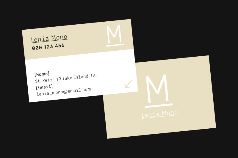 lenia-mono-a-monospace-sans-family