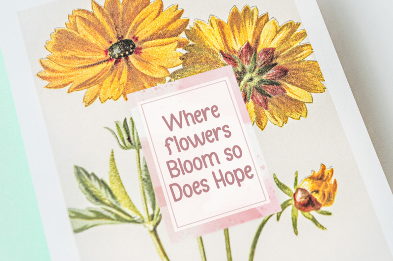 bloomville