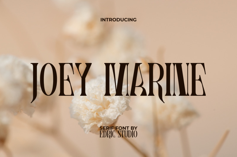 joey-marine
