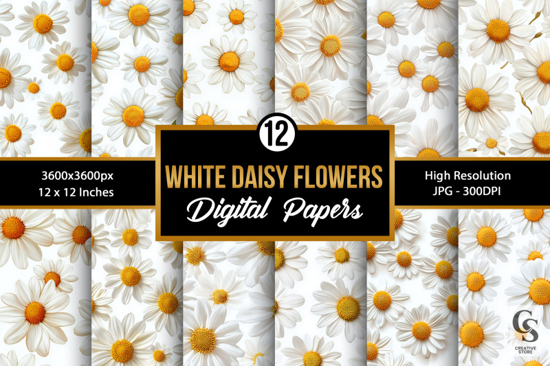 white-daisy-flowers-simple-pressed-flower-pattern