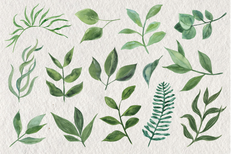leaves-and-branches