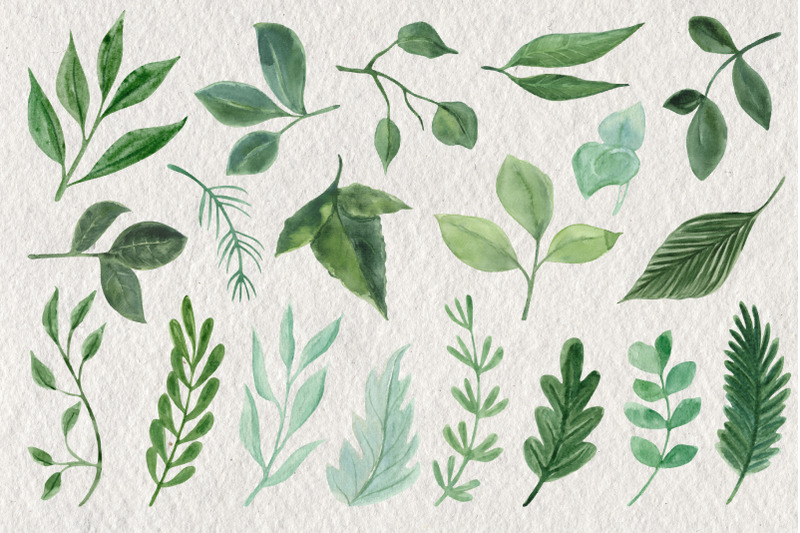 leaves-and-branches