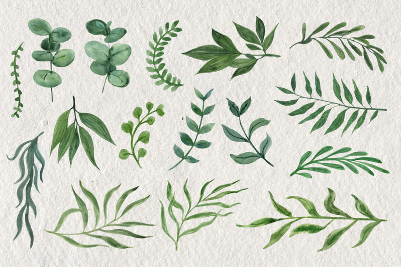 leaves-and-branches