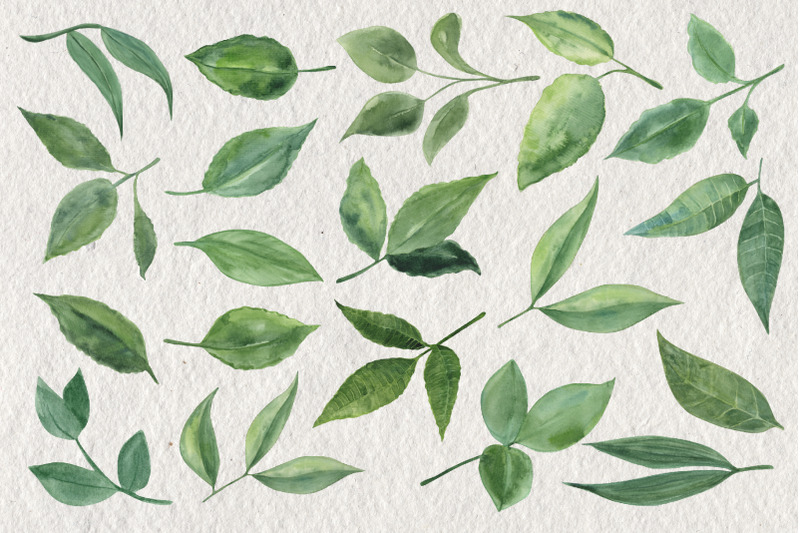 leaves-and-branches