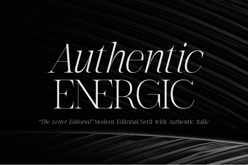 the-letter-editorial-modern-amp-elegant-serif