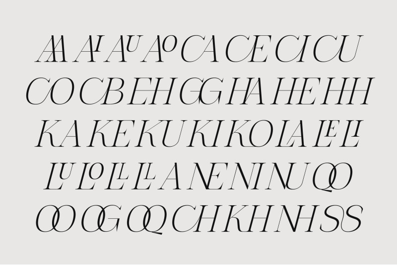 the-letter-editorial-modern-amp-elegant-serif