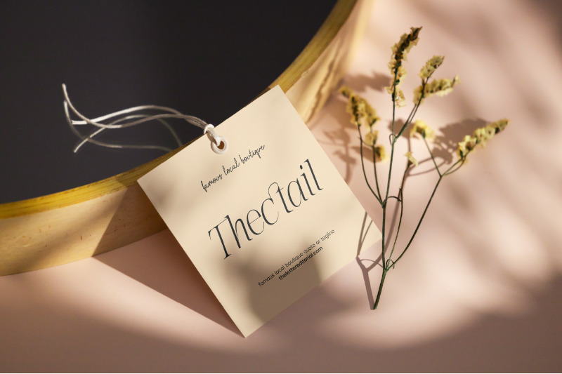 the-letter-editorial-modern-amp-elegant-serif