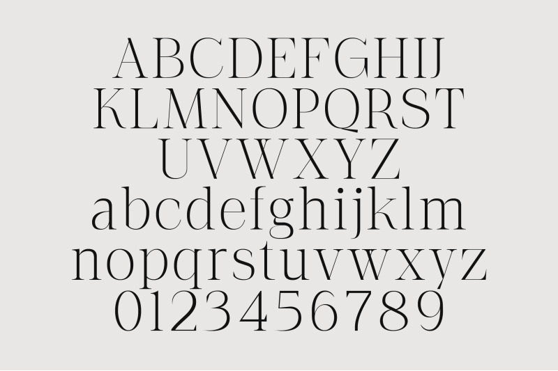 the-letter-editorial-modern-amp-elegant-serif