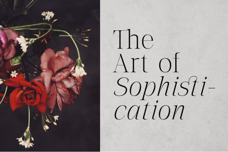 the-letter-editorial-modern-amp-elegant-serif