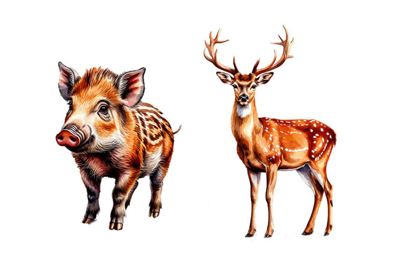 fall-woodland-animals-clipart-png-animals-fall-woodland
