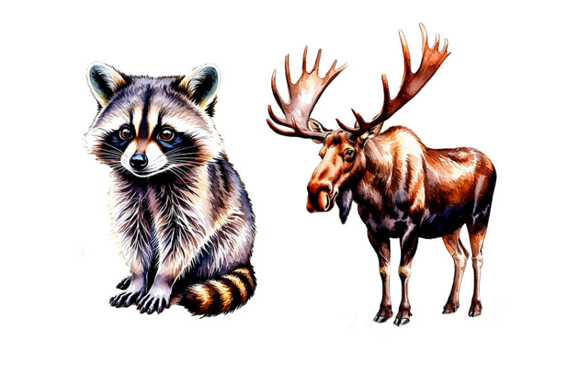 fall-woodland-animals-clipart-png-animals-fall-woodland