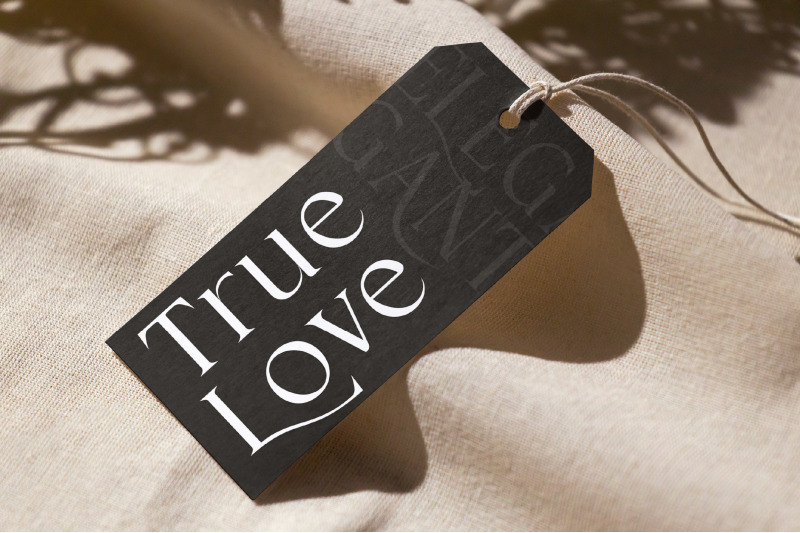 cardival-modern-luxury-bold-serif-font